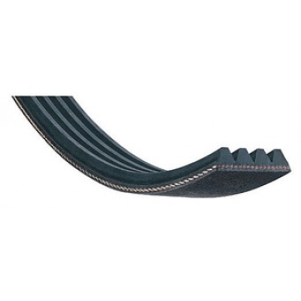 Poly-V Riemen 1255 J 5 elast. BOSCH, SIEMENS 00439490 ,...